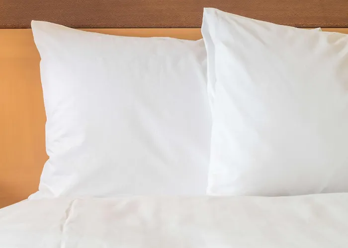 Holiday Inn Express Hotel & Suites Dallas Fort Worth Airport South By Ihg Irving